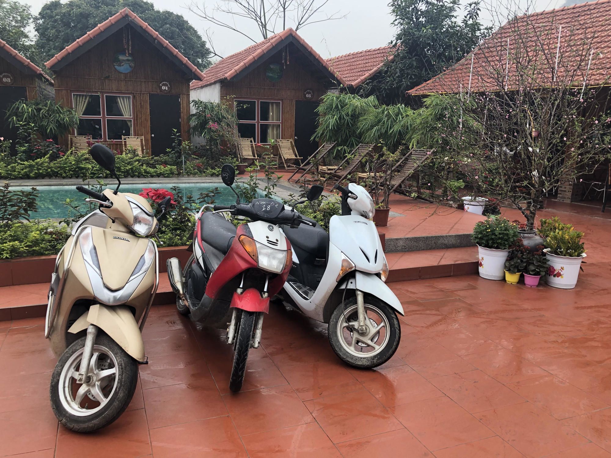 Tam Coc Garden Homestay Νιν Μπιν Εξωτερικό φωτογραφία