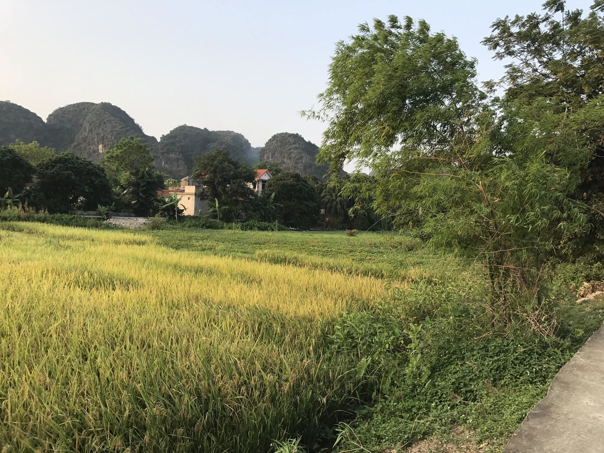 Tam Coc Garden Homestay Νιν Μπιν Εξωτερικό φωτογραφία