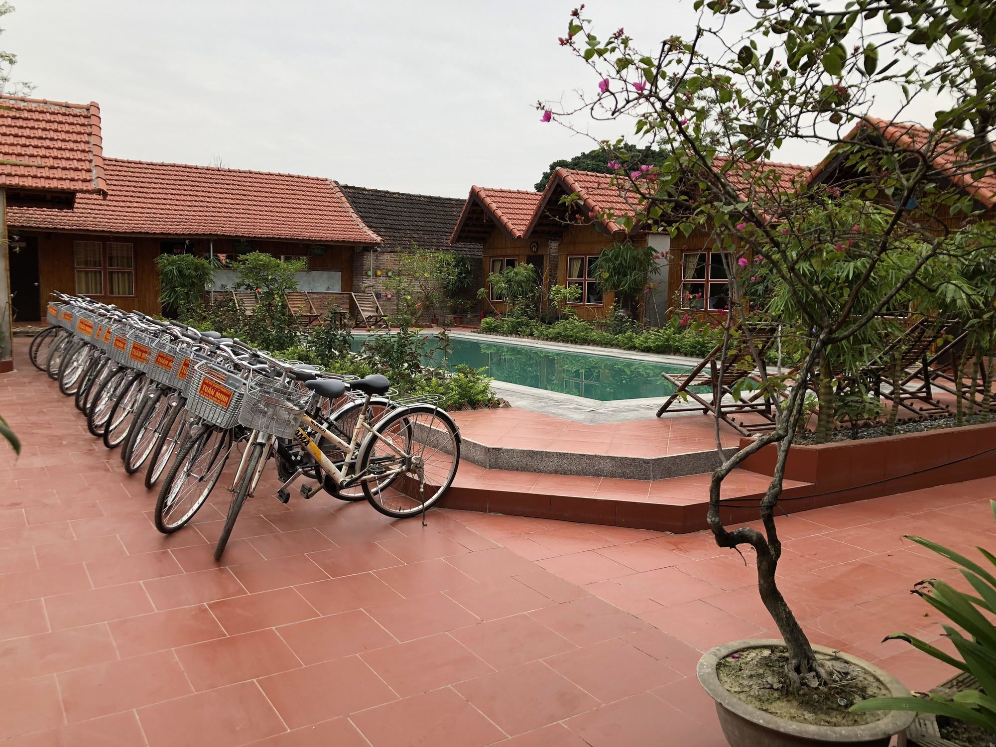 Tam Coc Garden Homestay Νιν Μπιν Εξωτερικό φωτογραφία