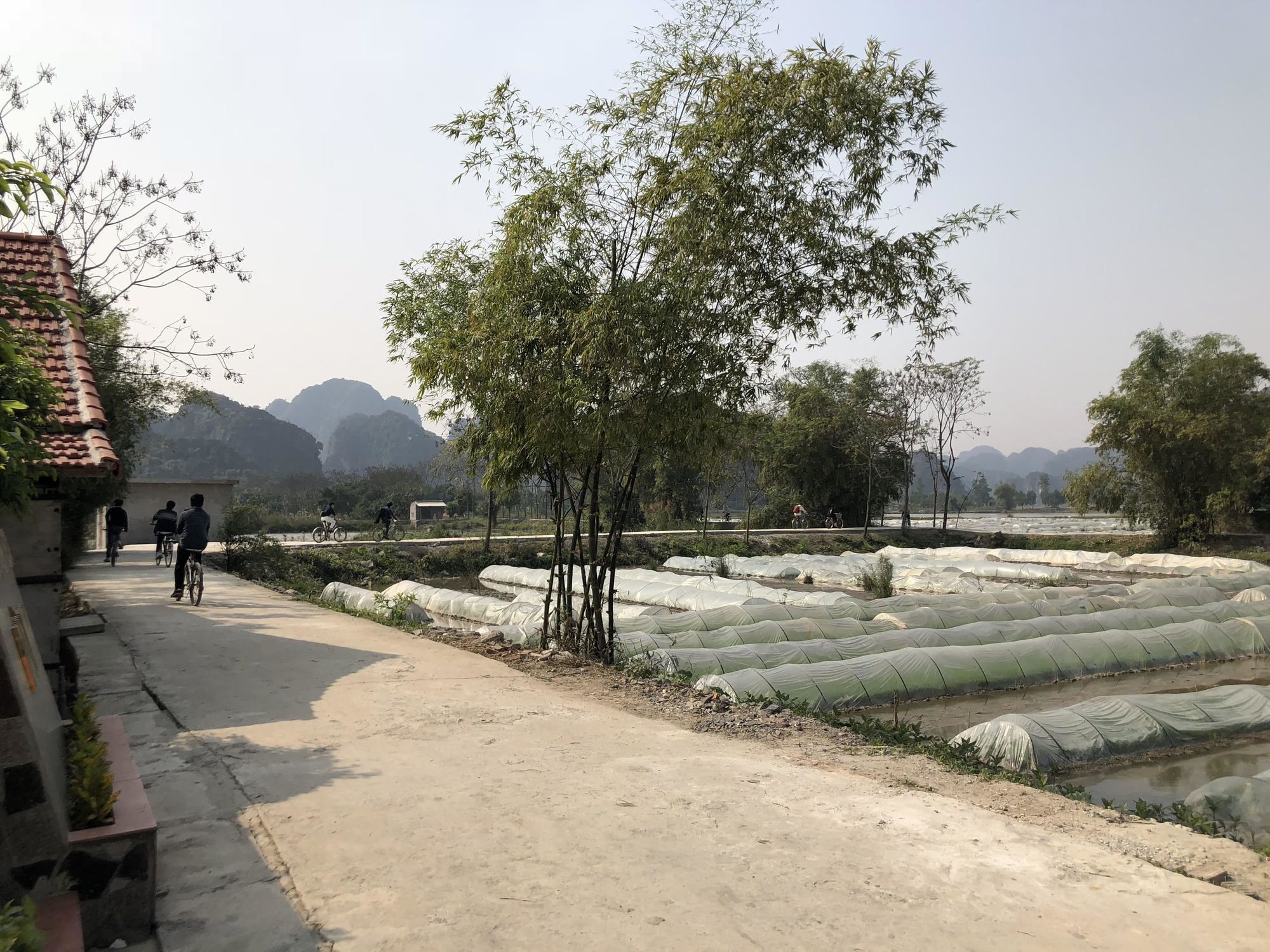 Tam Coc Garden Homestay Νιν Μπιν Εξωτερικό φωτογραφία
