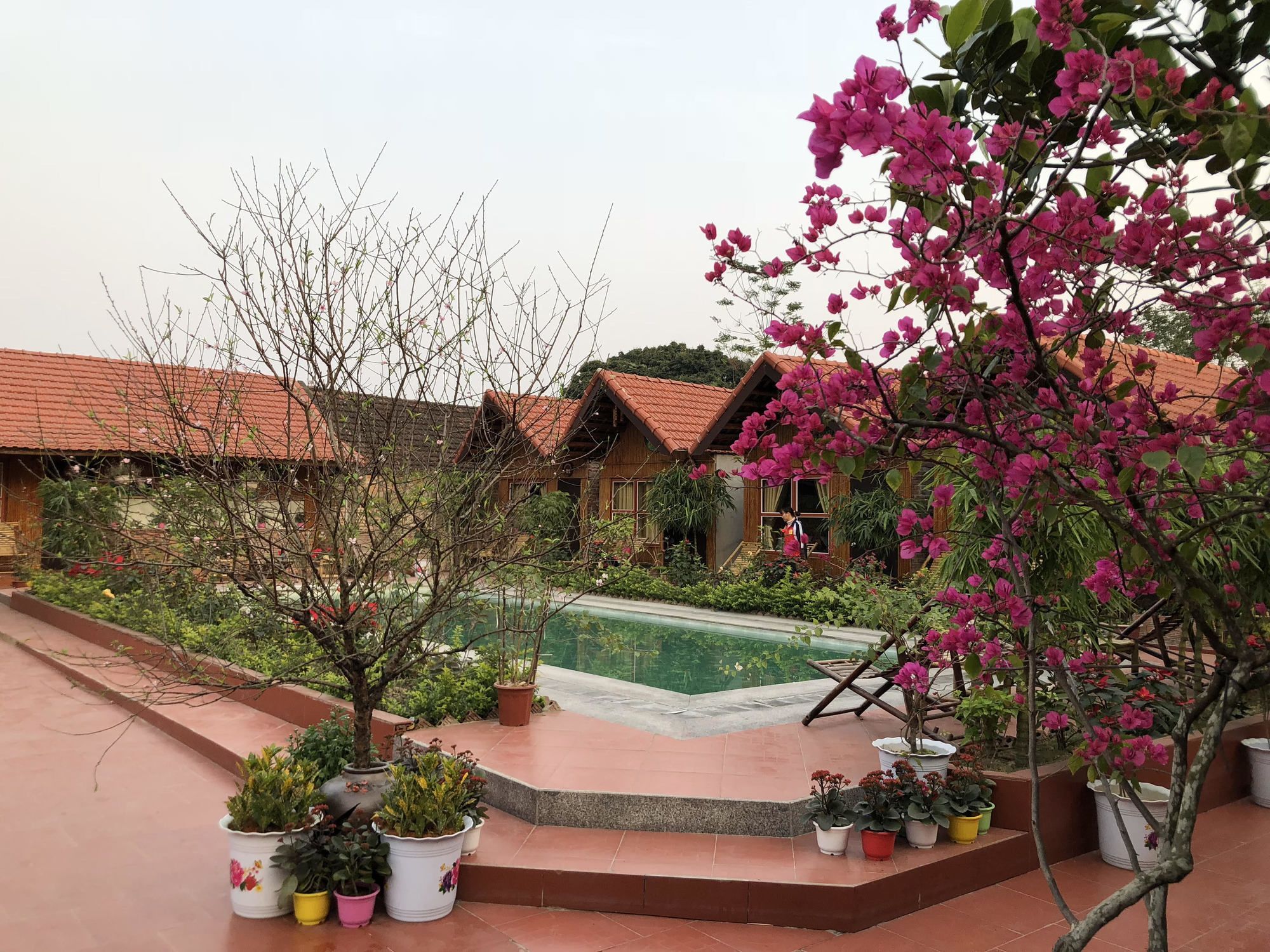 Tam Coc Garden Homestay Νιν Μπιν Εξωτερικό φωτογραφία